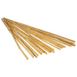 TUTORES Bambú 90 cm